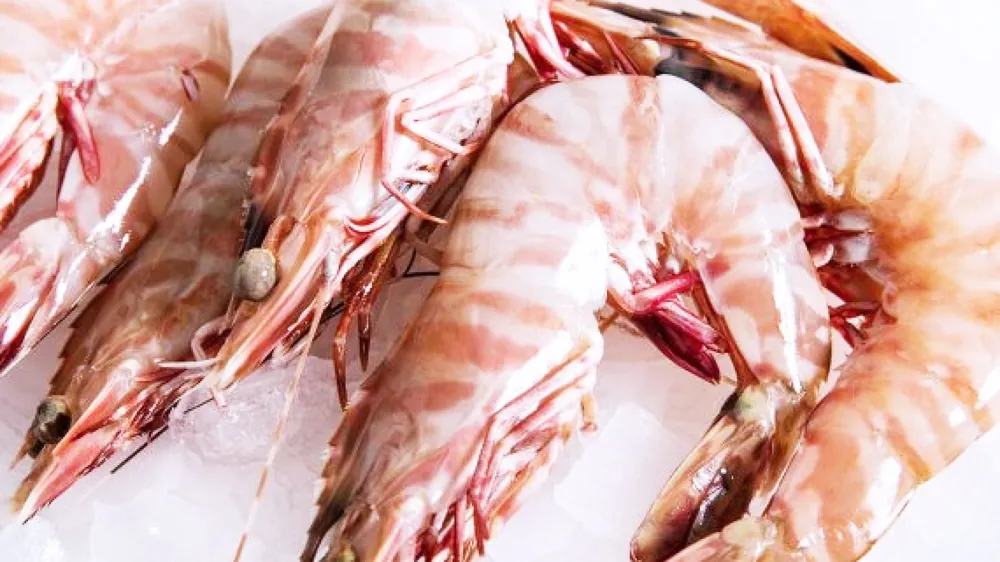 Flower Shrimp shrimp