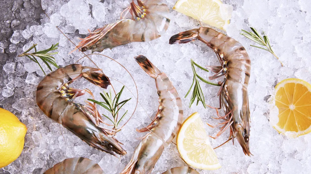 Sea Tiger shrimp