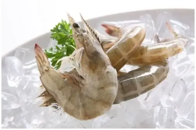Vannamei shrimp